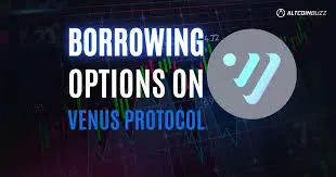 Venus Protocol
